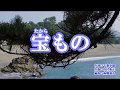 『宝もの』三山ひろし カラオケ 2019年7月3日発売