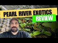 Pearl river exotics review