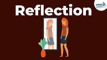 Reflection of Light | Don