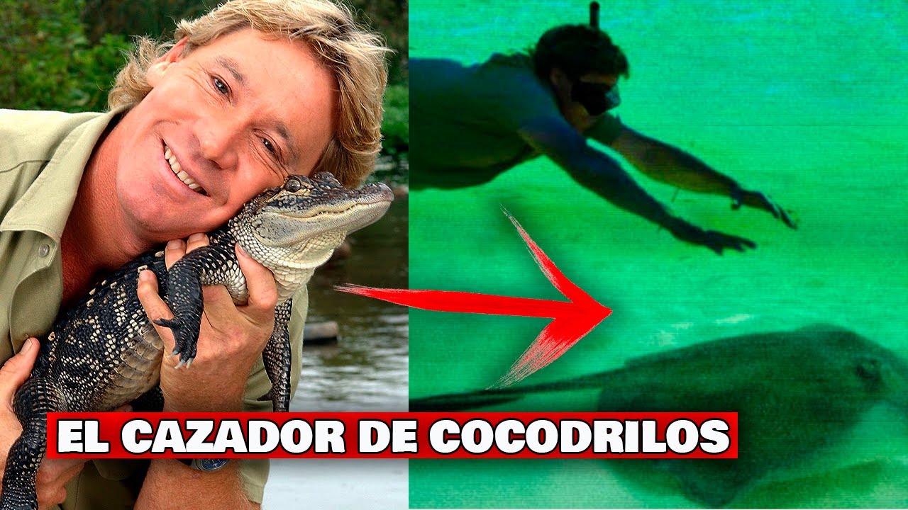 El día que MURIÓ Steve Irwin - La vida y TRÁGICA MUERTE del Cazador de  Cocodrilos - YouTube
