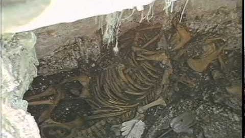 ARCHAEOCOGY. - North Downs, Kent.