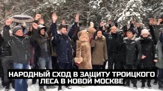 Народный сход в защиту Троицкого леса в Новой Москве