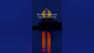 ﴿ الْمَالُ وَالْبَنُونَ زِينَةُ الْحَيَاةِ الدُّنْيَا ۖا﴾[ سورة الكهف: 46]