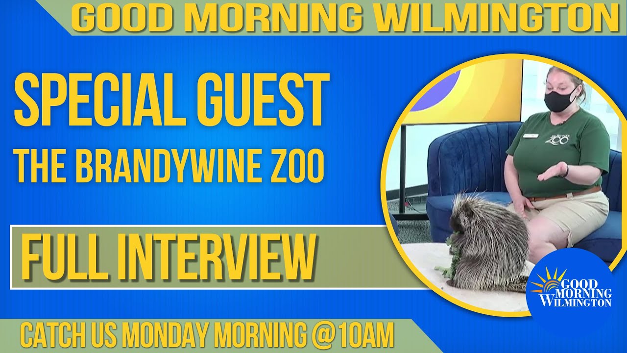 The Brandywine Zoo on Good Morning Wilmington YouTube