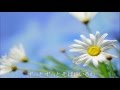 【J-POP PV】夢の扉 / Noon net Girl/ Door of dream / Ver,2 - Love Song 【HD】