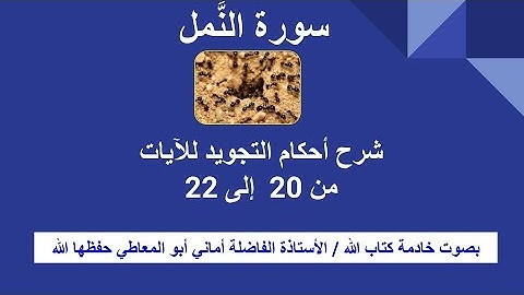 سورة النمل:  شرح أحكا م التجويد  للآيات من 20 إل 22