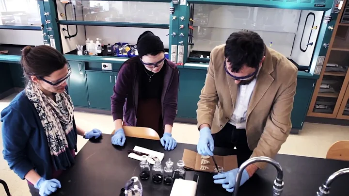 Faculty Profile: Allison Fleshman, Chemistry