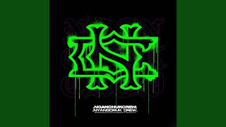 KANDAS 13