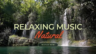 Relaxing Music, Zen Music, Meditation Music, Stress Relief Music, Sleep Music, Nature Sounds