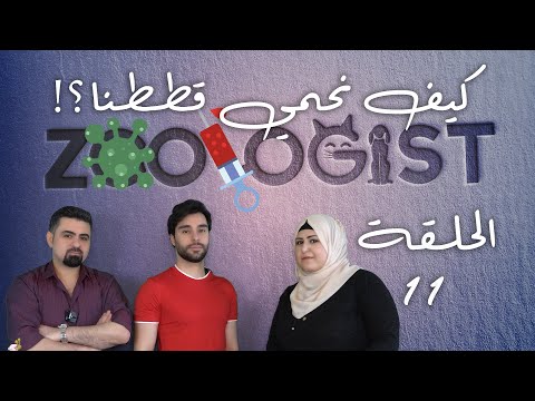 فيديو: مرض الراكون في القطط