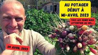 Que faire au potager mi-avril 🤔? #potager #avril2023