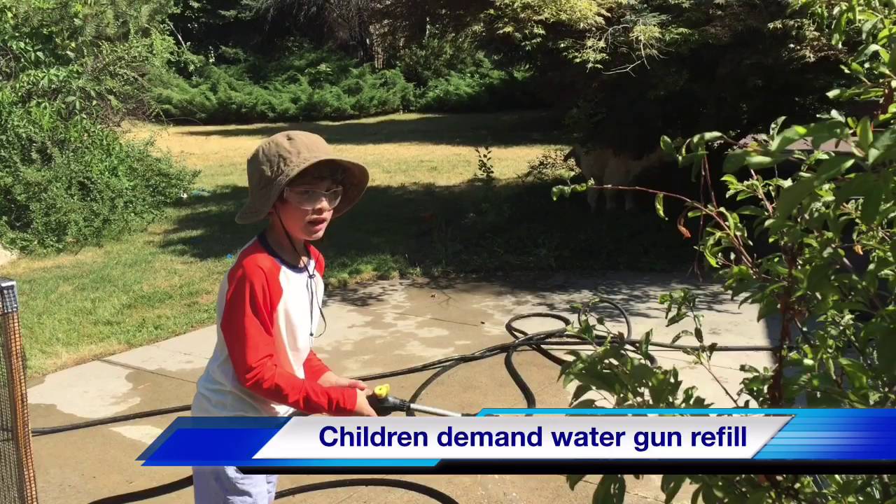 Newsflash: Lethargic Children Attack Goldendoodle