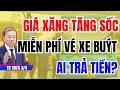 Tin Trưa 3/4: Giữa Lúc Xăng Tăng, Miễn Phí Xe Buýt Toàn Dân? Ai Trả 7.000 Tỷ?