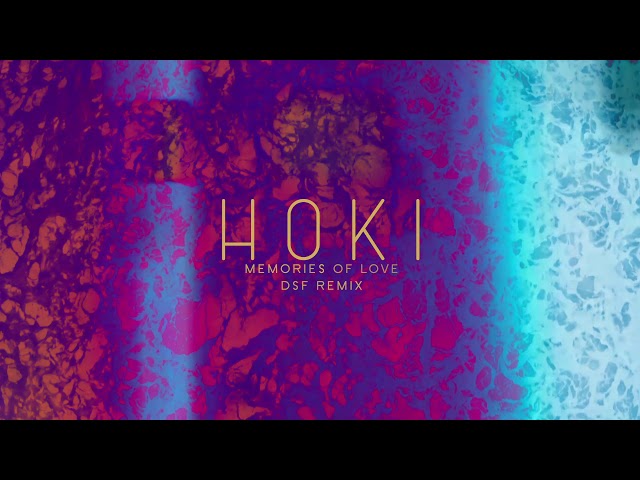 HOKI - Memories of Love (DSF Remix) class=