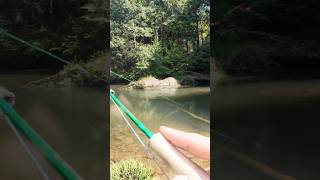 A trout a day, to keep ya sane! No.774! A stocked brown trout from a PA stream!
