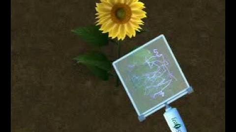 Leaf Sensor, Revolutionizing irrigation