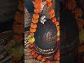 Jay Mahadev 🙏🙏 #explore #mahadev #mahakal #shivshankar #shiv #explore #reels #love #vlog