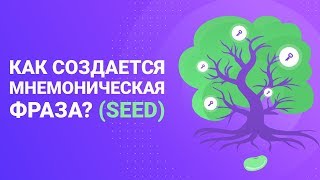 Как создается мнемоническая фраза? (Seed)