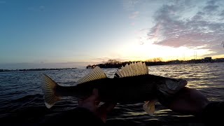 Fox River Walleye Fishing - Green Bay - Spring Run