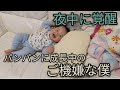 双子の弟：夜中に覚醒してずっとご機嫌で寝ないテロ