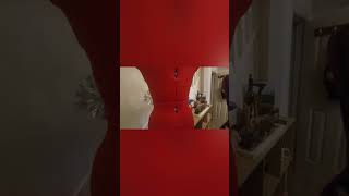 Adjustoform Elizabeth Tailormaid adjustable dress form, unboxing and setting up.