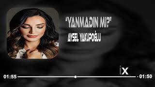 Aysel Yakupoğlu - Yanmadın Mı? ( Yasin Erdemir Remix ) Resimi