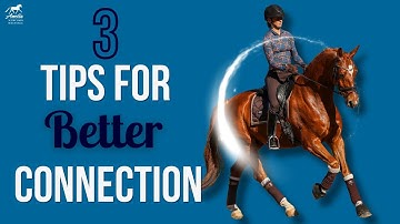 Develop Connection using the Training Scale