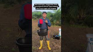 Ember pupuk Ergonomi solusi mupuk anti sakit encok/sakit pinggang #petanisawit #pupuk #emberpupuk