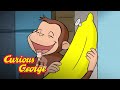 George's Favorite Foods! 🐵 Curious George 🐵Kids Cartoon 🐵 Kids Movies 🐵Videos for Kids