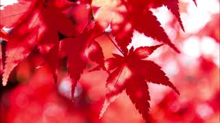 オフコース/YES-YES-YES