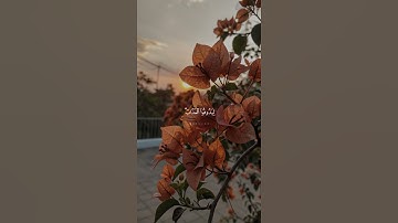 {إِنَّ الَّذِينَ كَفَرُوا بِآيَاتِنَا سَوف نُصْلِيهِمْ نَارًا } (سورة النساء) القارئ|محمود علي البنا