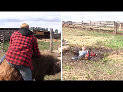 Man Thrown Into Muddy Hole After Riding Pig