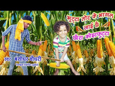 भुट्टा तोर के भागल जाई छै छौरा कोइरफुटता - Koirfutta - Famous Bhojpuri Song - Bansidhar Chaudhary
