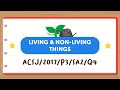Understanding Grouping of Living and Non-Living Things