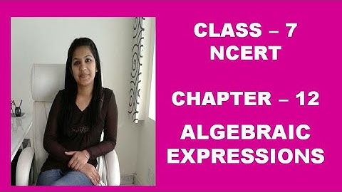 Q 2, Ex-12.4- Ch-12-algebraic expressions- class 7 NCERT maths