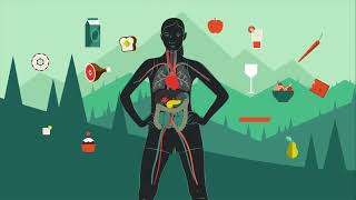 What does the pancreas do? - Emma Bryce