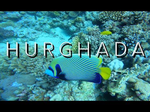 Video: Buceo en Hurghada