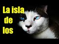 La Asombrosa ISLA de los GATOS en Japón  |HD #gatos #entertainment #animals