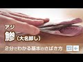 鯵（あじ）のさばき方：大名卸し - How to filet Horse Mackerel ver.Daimyo Oroshi-｜日本さばけるプロジェクト（海と日本プロジェクト）