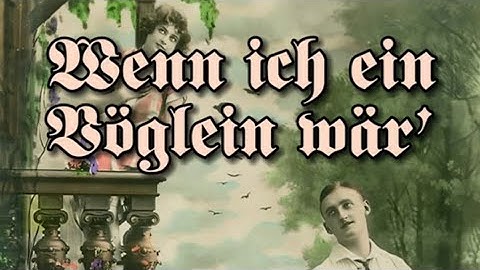 Wenn ich ein Vöglein wär' | German folk song | English subtitles