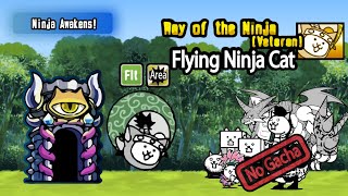 Way of the Ninja (Veteran) | Flying Ninja Cat | The Battle Cats | No Gacha screenshot 4