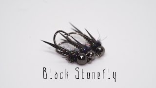 : Black Stonefly nymph