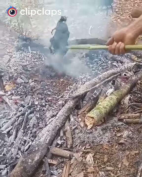 Tik tok lucu bikin ngakak 2020~ bakar ayam