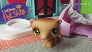 Lps: распаковка хорька ~ подарок ~ Lps: распаковка хорька ~ подарок ~