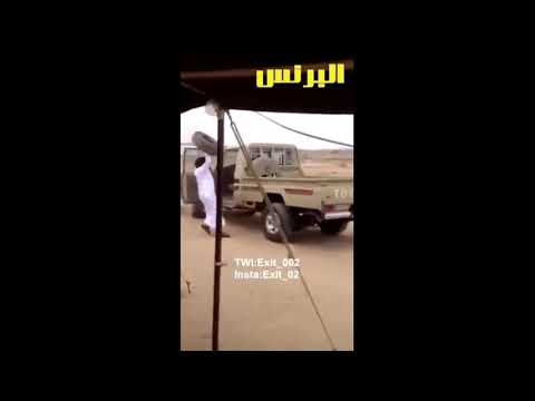 فزعه راعي الجمس ارحب