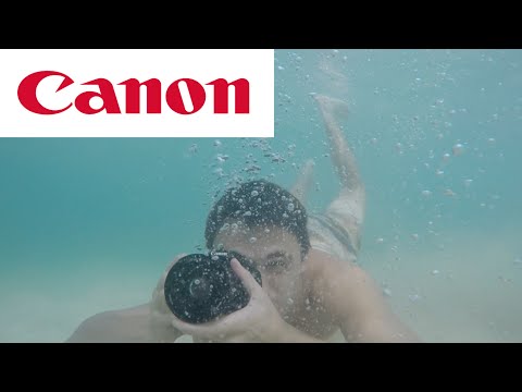 What Canon Cameras