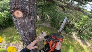 Ergonomics and Tree Climbing