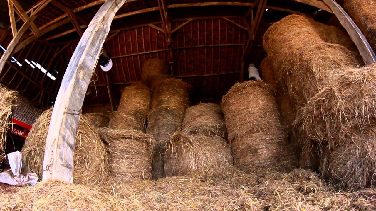 Hay Bails - 7