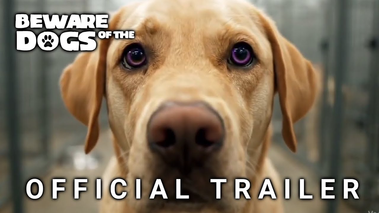 Beware of the Dogs | Official Trailer 