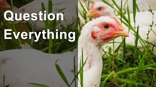 Famous Question Everything with Farming Profile